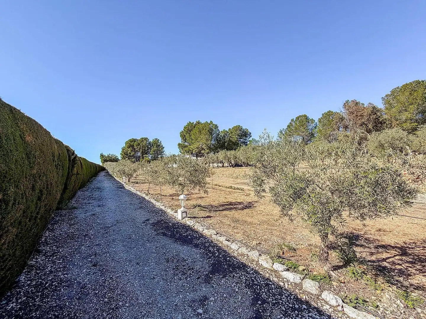 Landhaus zum Verkauf in El Pinós / Pinoso, imagen 51