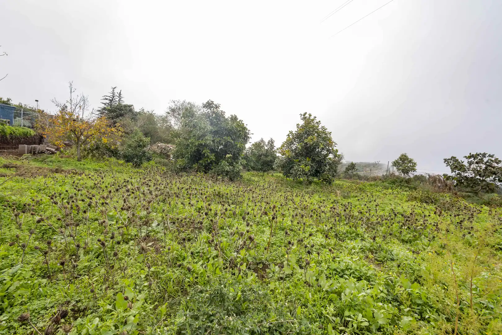Finca rústica en venta en San Cristóbal de la Laguna con Calefacción, Jardín privado y Terraza