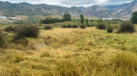 FINCA DE REGADIO EN LA ZONA DE LA ACEQUIA MADRE MAESTRA, PADUL GRANADA, immagine 4