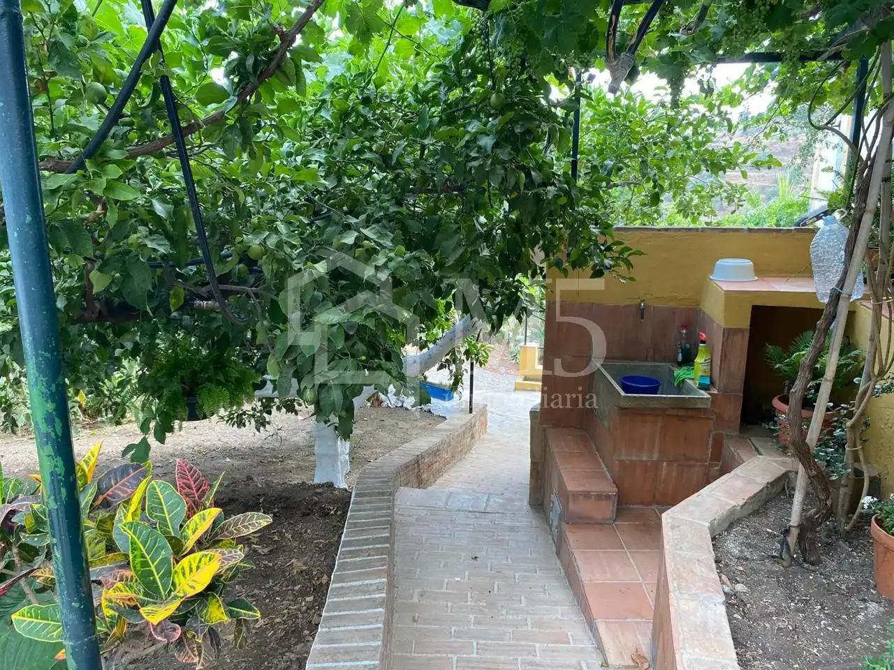 Haus mit Terrasse zum Verkauf in Canillas de Aceituno, imagen 7