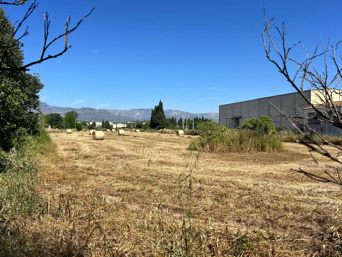 Rural land for sale in Carretera de València 5, imagen 16