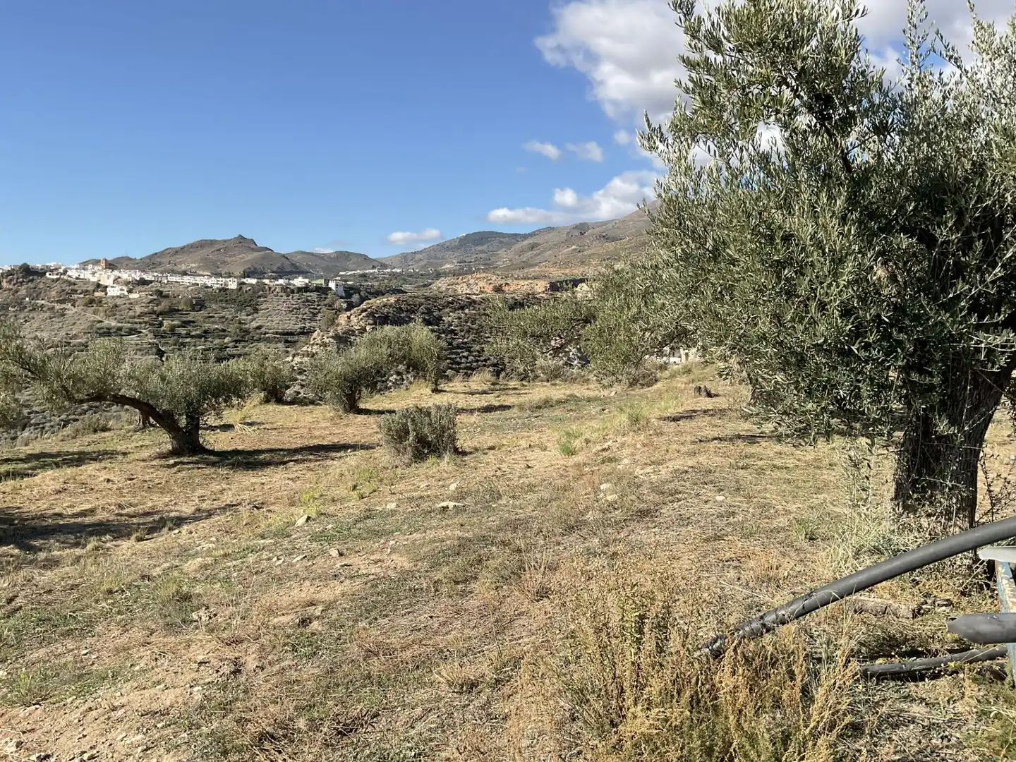 Land for sale in Padules