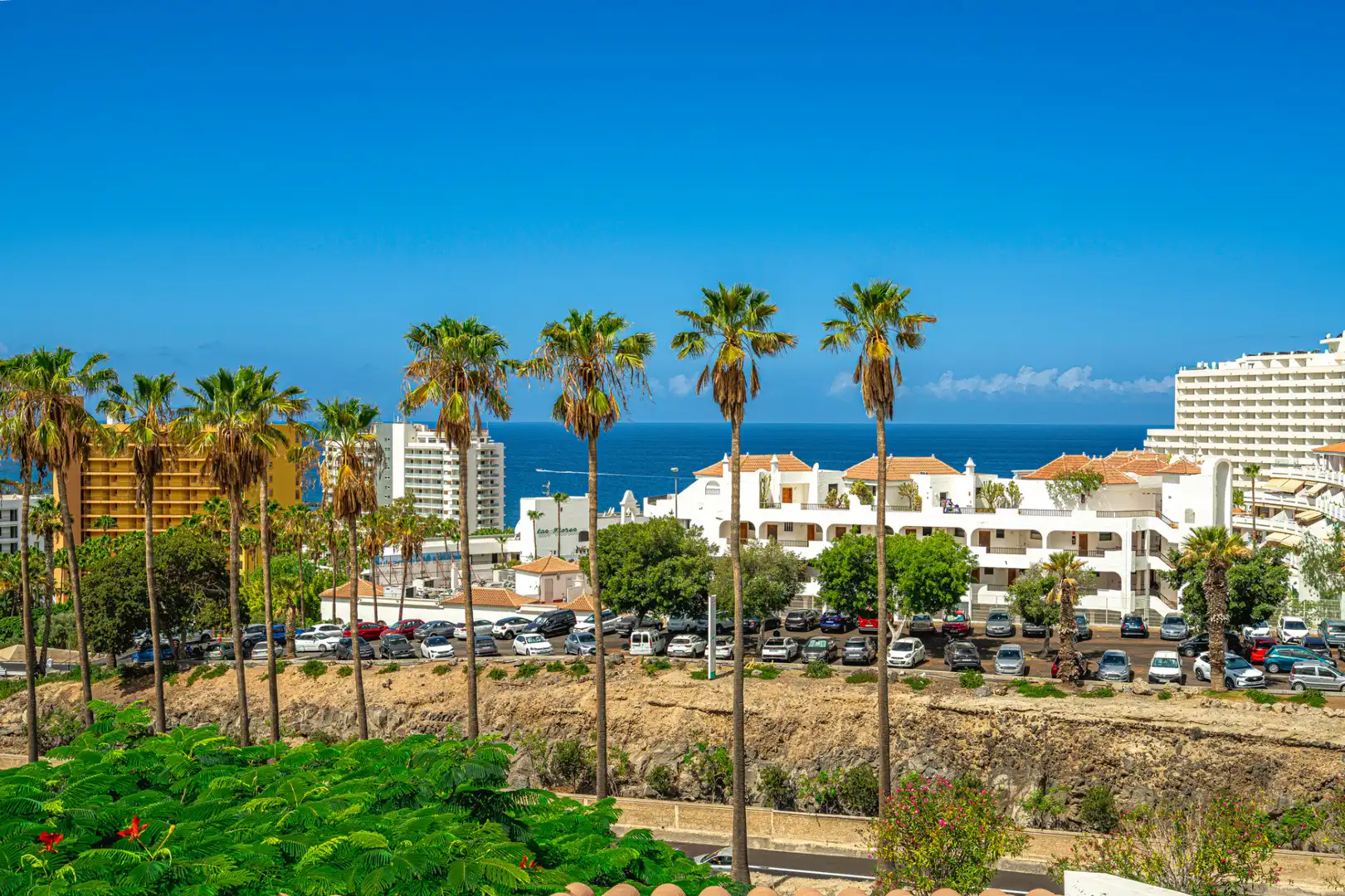 Vista exterior de Casa o chalet en venta en Adeje con Jardín privado y Terraza