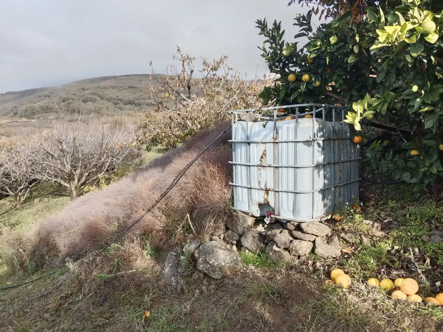 Terreni e lotti in vendita a Pasarón de la Vera, imagen 16
