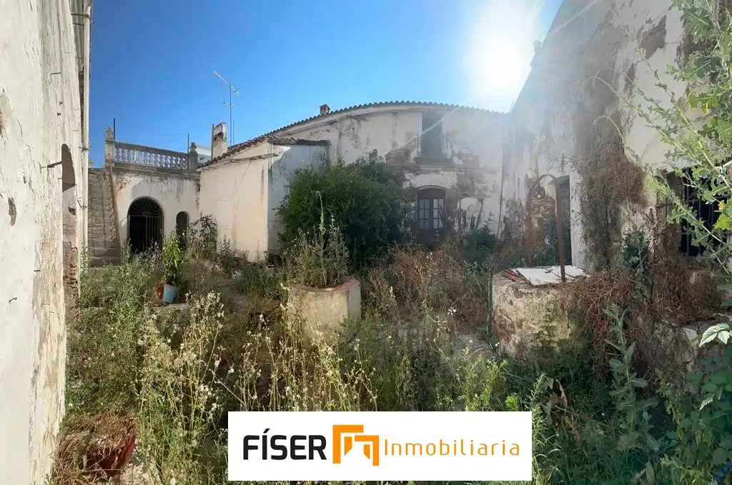 Vista exterior de Casa o chalet en venta en Medina de las Torres con Jardín privado