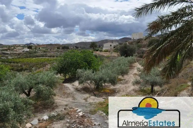 Villa in vendita a Cantoria, imagen 4