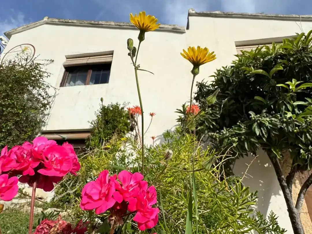 Jardí de Casa o xalet en venda en Sant Pere de Ribes amb Aire condicionat