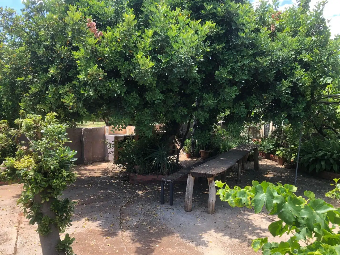 Xalet amb jardí en venda a Pinos de Alhaurín - Periferia, imagen 10