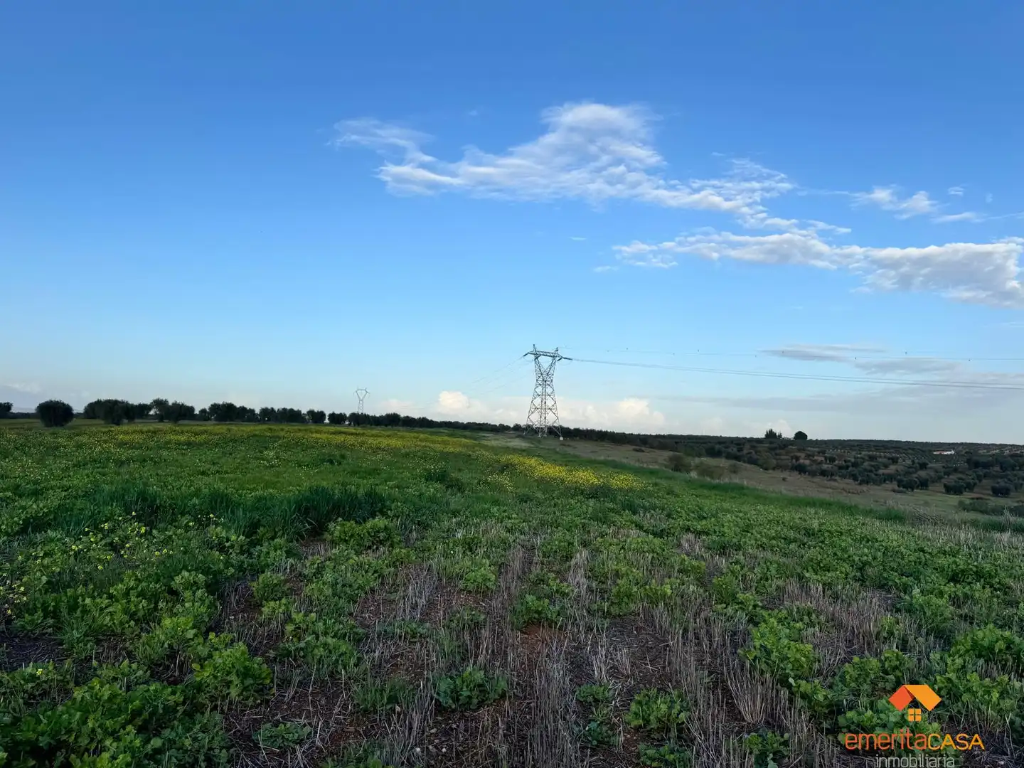 Terreni e lotti in vendita a Sur, imagen 4