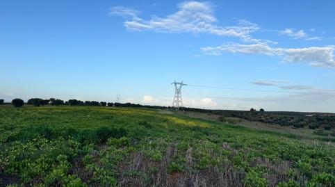 Photo 4 of Residential for sale in Sur, Mérida