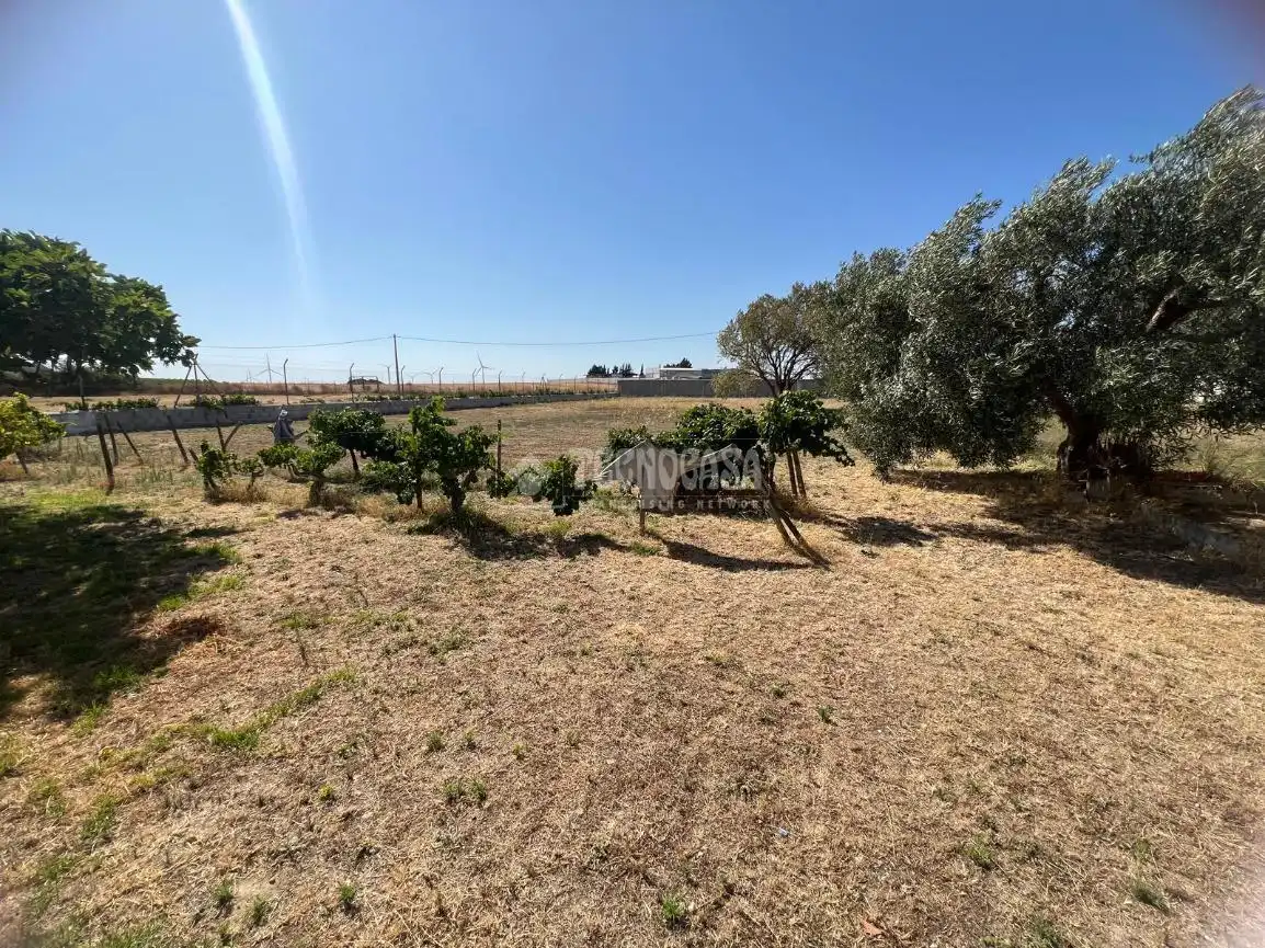 Finca rústica en venta en Los Franceses – La Vega