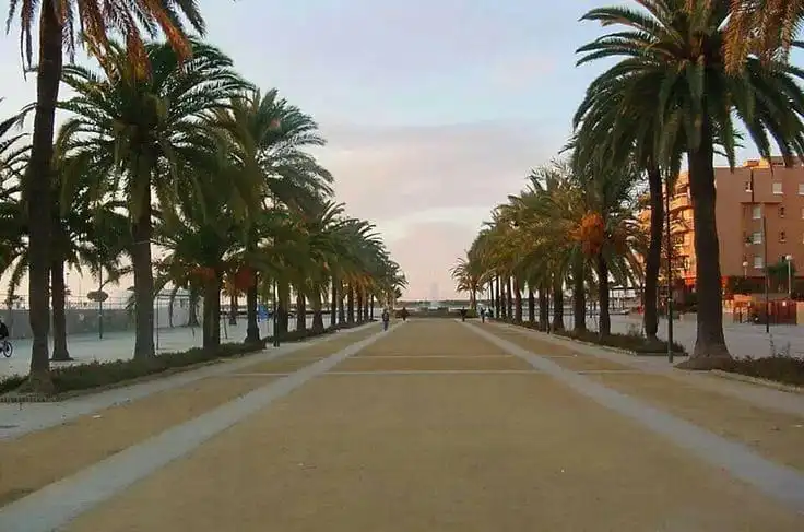Vista exterior de Pis en venda en Sanlúcar de Barrameda amb Aire condicionat, Calefacció i Jardí privat