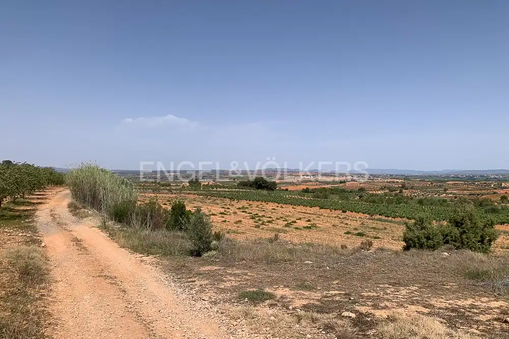 Lands and plots for sale in Requena, imagen 31