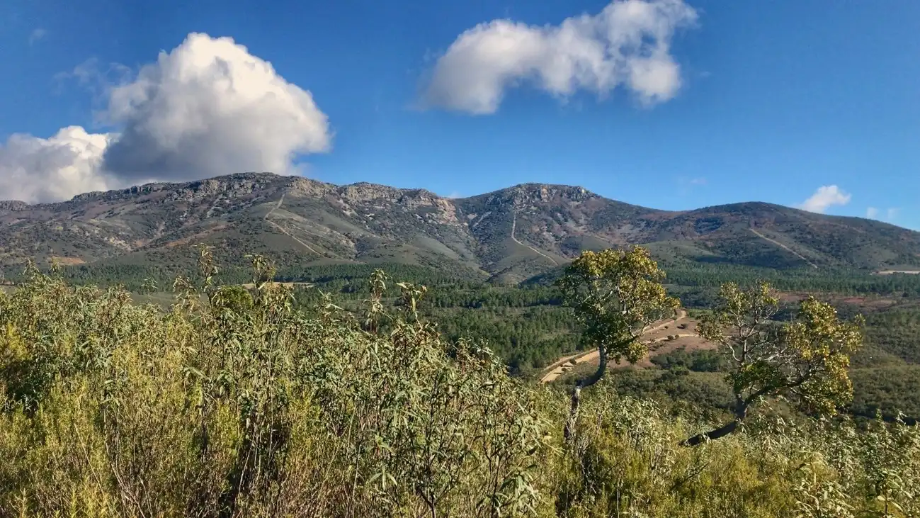Vista exterior de Casa o chalet en venta en Los Navalucillos con Aire acondicionado, Calefacción y Jardín privado
