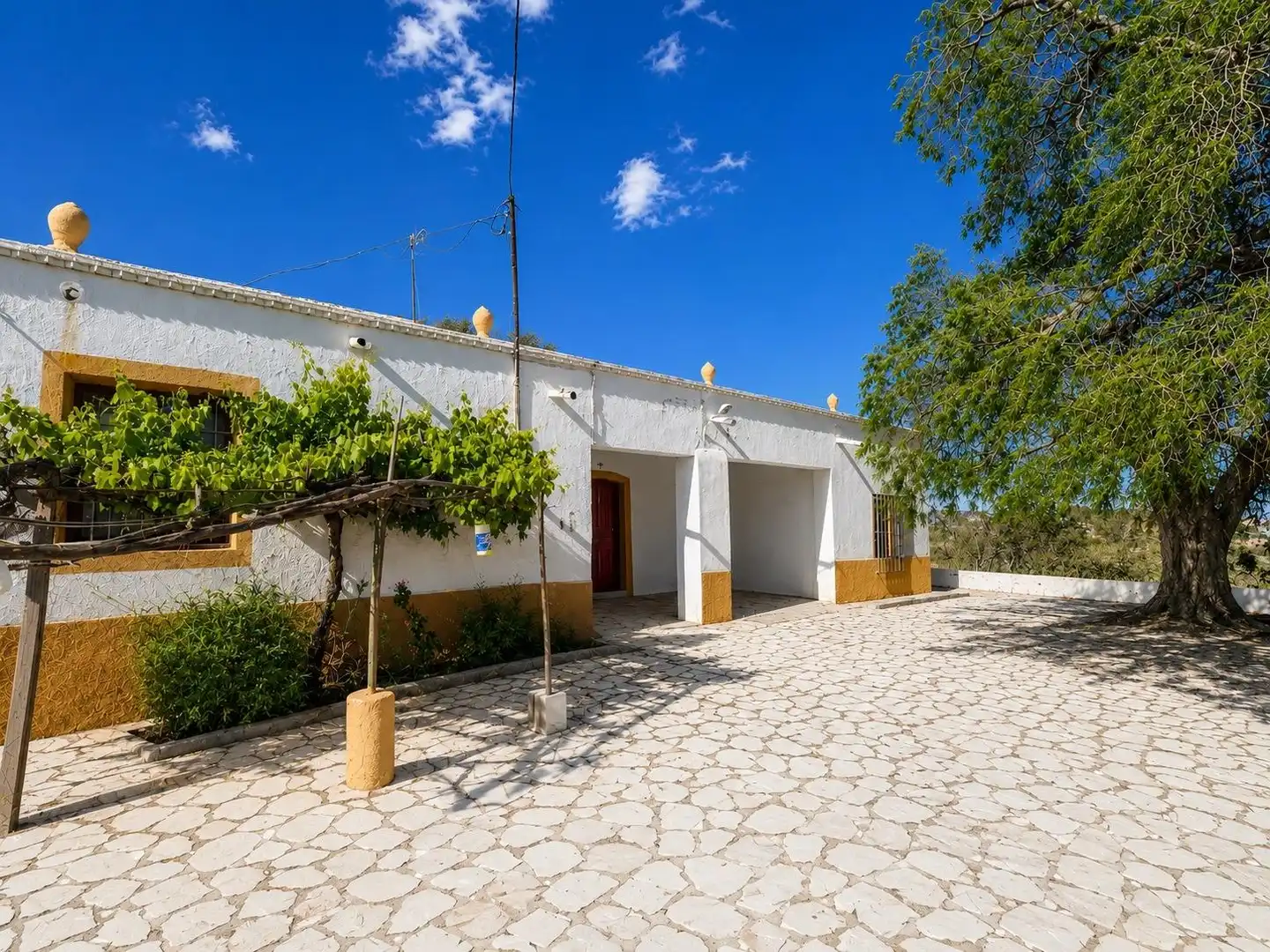Landhaus mit Garten zum Verkauf in Tabernas, imagen 6