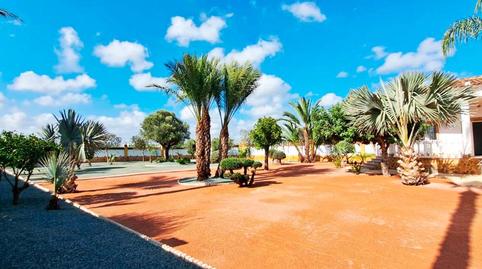 Foto 4 de Casa o xalet de lloguer a Cam. del Hondo, Catral, Alicante