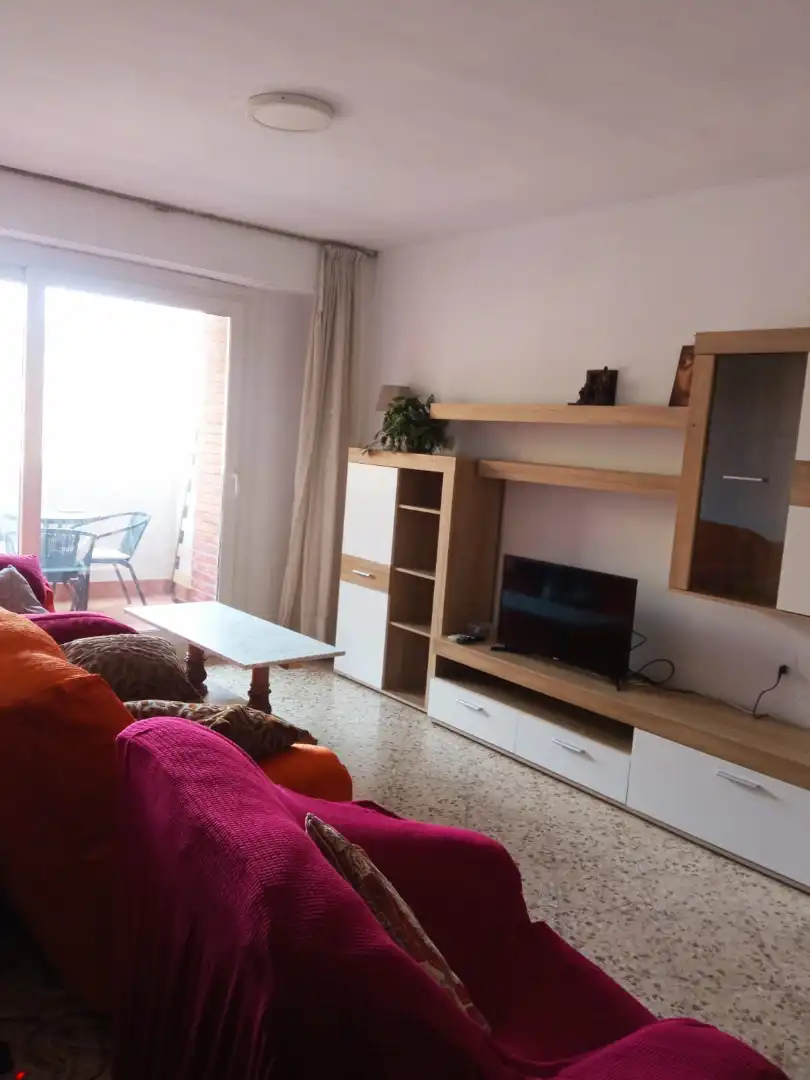 Living room of Flat for rent in Valencia  with Furnished, Oven and Washing machine