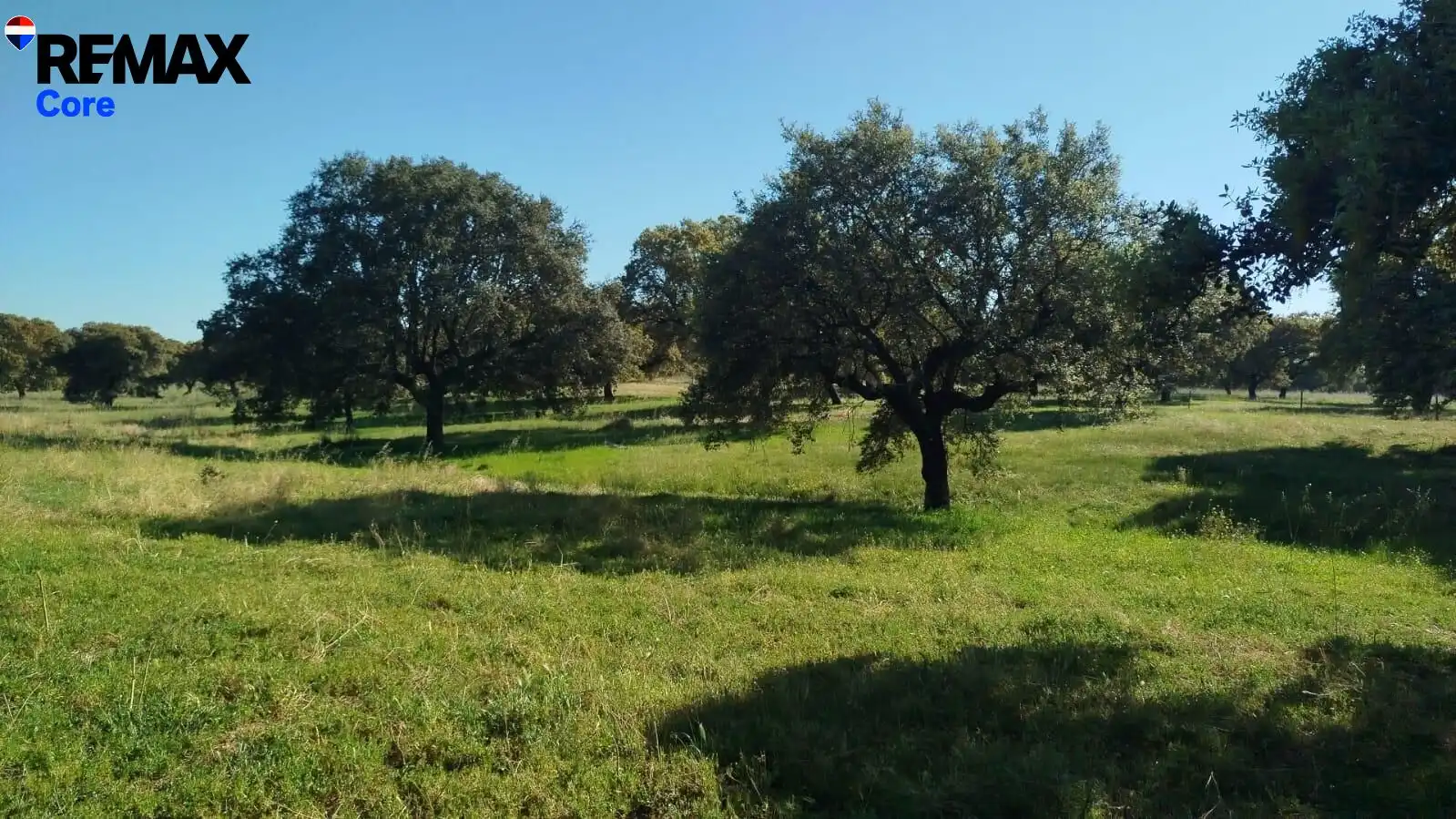 Lands and plots for sale in La Codosera