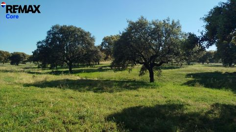 Excelente Finca Mixta Lista para Explotación Inmediata en Alburquerque!