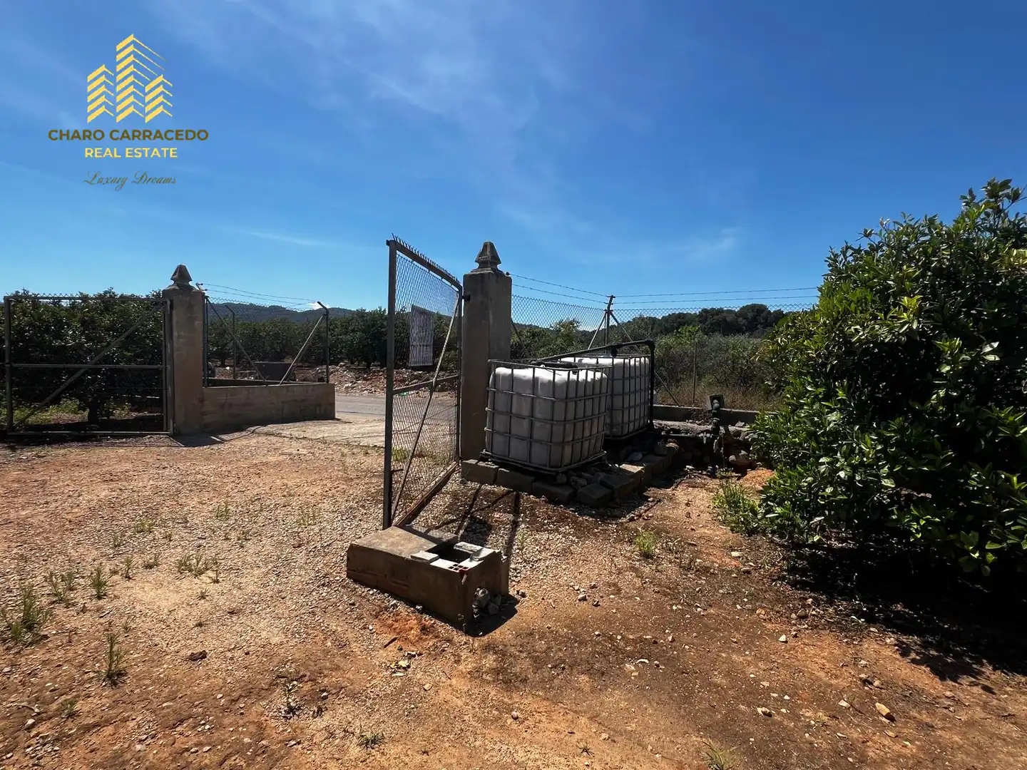 Terreno rústico en venta en Camí de la Murta-Ombria, imagen 22
