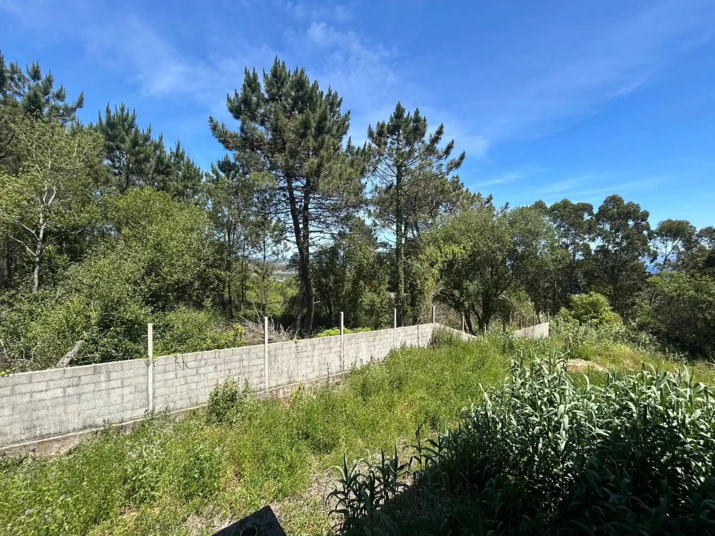 Casa o xalet en venda en Ribeira amb Terrassa