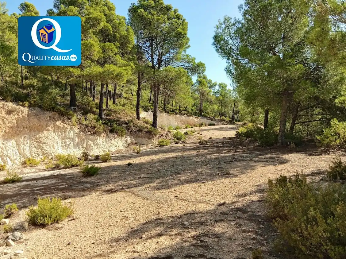 Terrenys i solars en venda a Onil, imagen 2