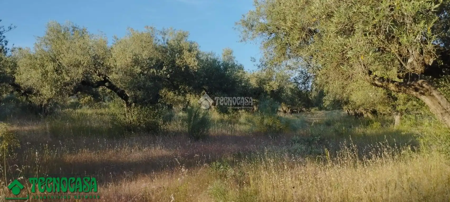 Terreni e lotti in vendita a Méntrida, imagen 30