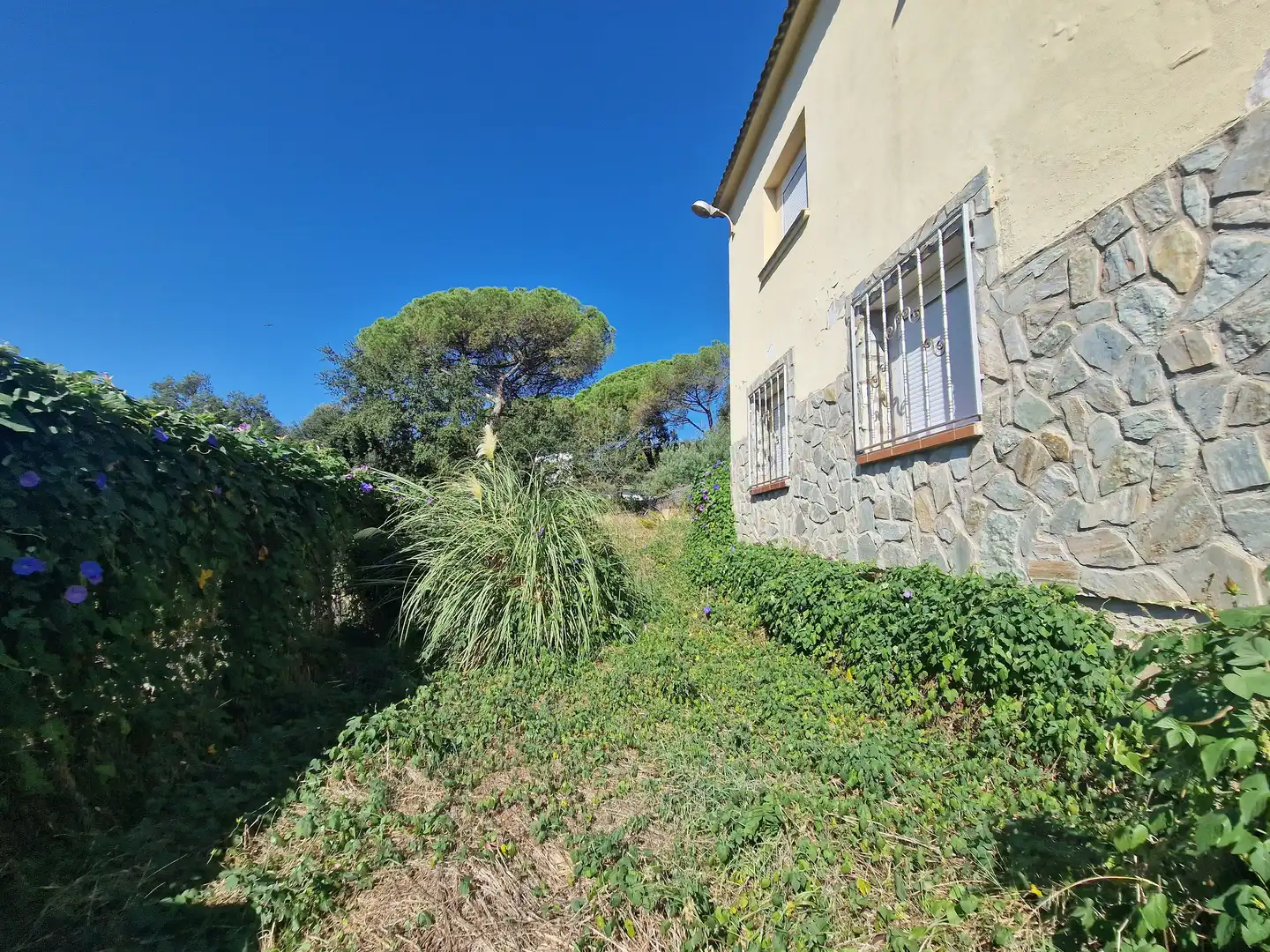 Jardín de Casa o chalet en venta en Sant Pere de Vilamajor con Calefacción, Jardín privado y Terraza