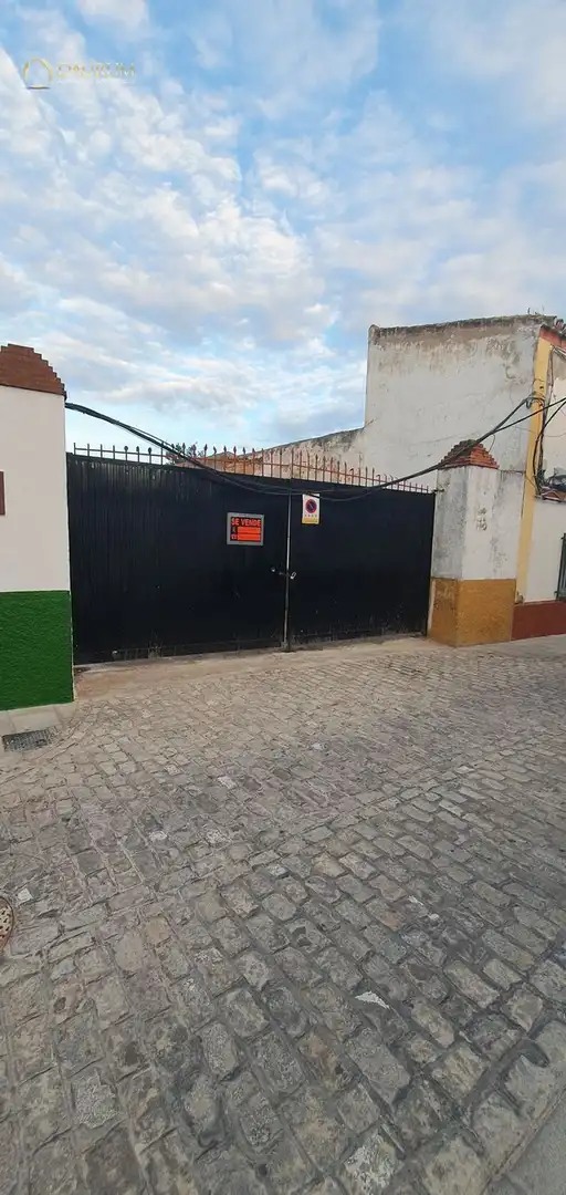 Vista exterior de Casa o chalet en venta en Bormujos con Terraza, Piscina y Piscina comunitaria