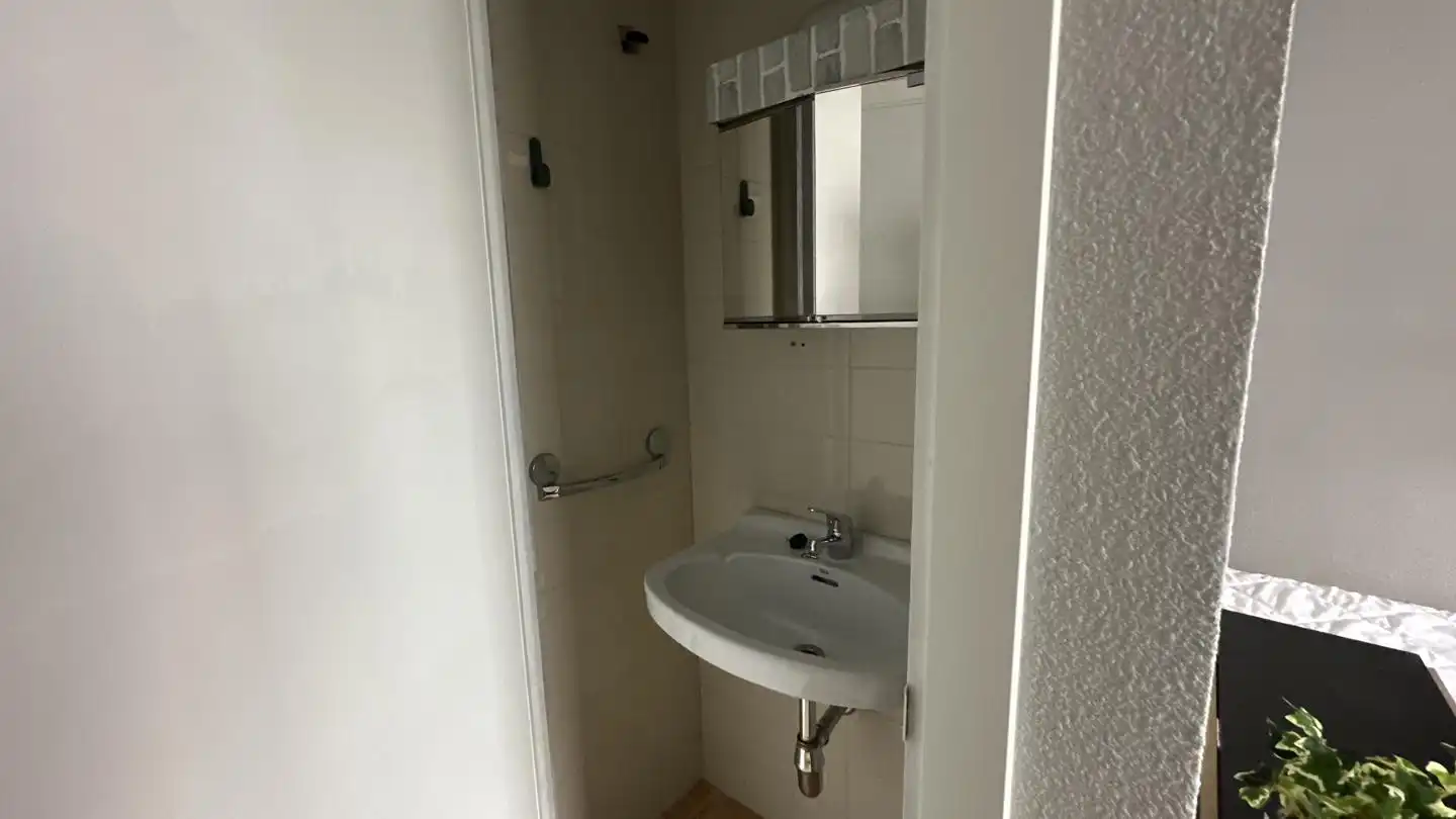 Bany de Planta baixa per a compartir en Madrid amb Moblat