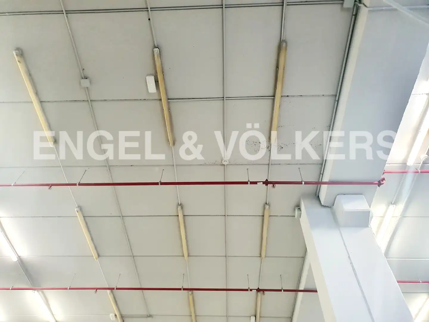 Nau industrial en venda en Cornellà de Llobregat