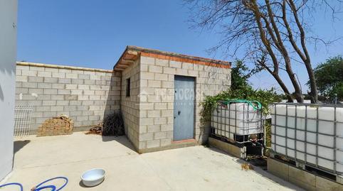 Foto 5 de Finca rústica en venta en Los Palacios y Villafranca, Sevilla