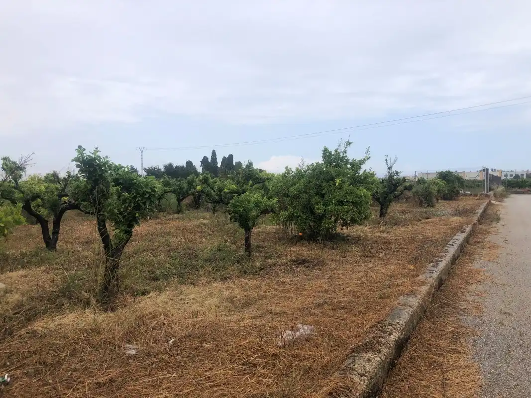 Terreny rústic en venda a Castelló de Rugat