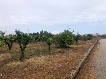 Terreno rústico en venta en Castelló de Rugat