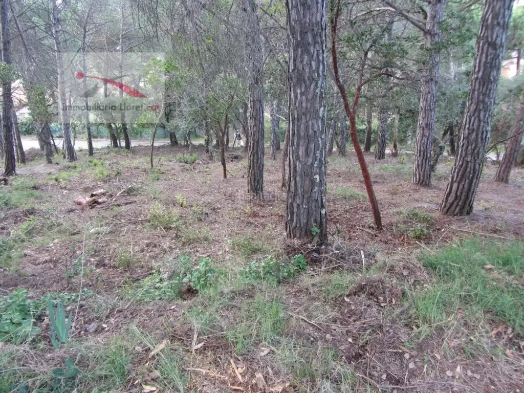 Residential land for sale in Llagostera, imagen 6