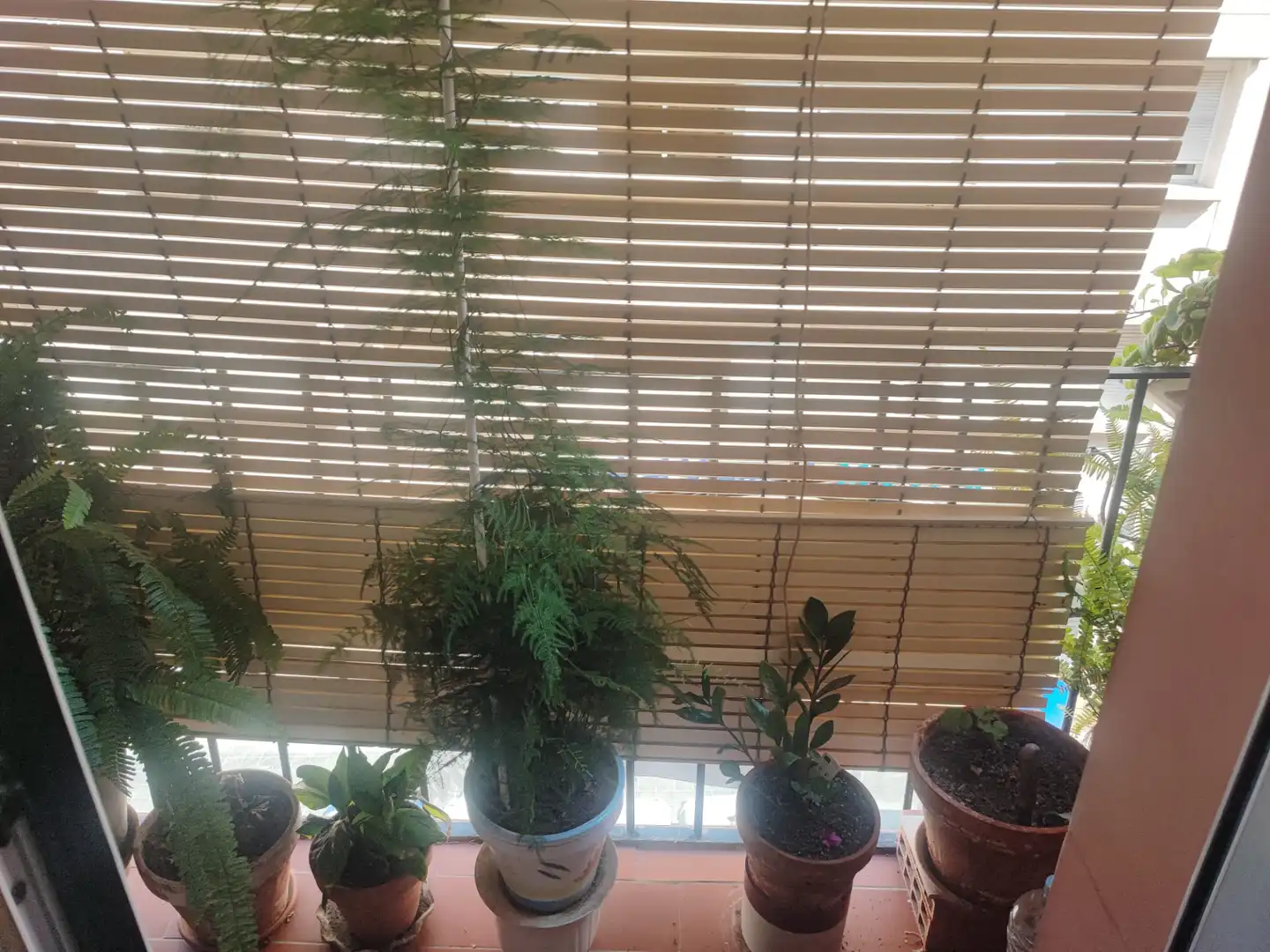 Piso con terraza en venta en Eixample, imagen 3