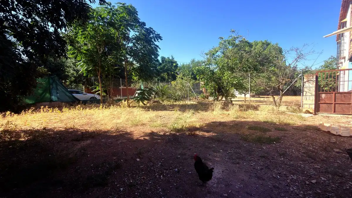 Casa rústica amb piscina en venda a Diseminado Poligono 87, imagen 35