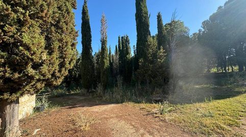 Foto 5 de Residencial en venda a Camino del Porcillo, Poligono 3, Chorrillo, Alcalá de Henares