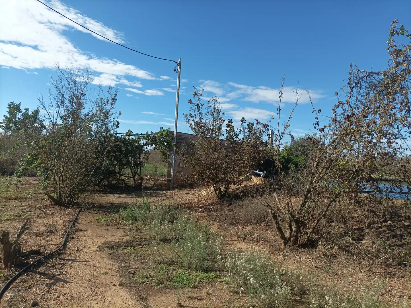 Terreno en venta en Vilallonga del Camp