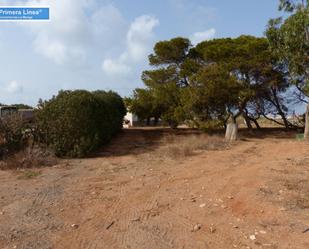 Finca rústica en venda en Cartagena amb Jardí privat