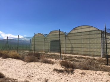 Terreny rústic en venda a Carretera Murcia 16