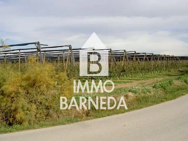 Rural land for sale in N/A, imagen 30
