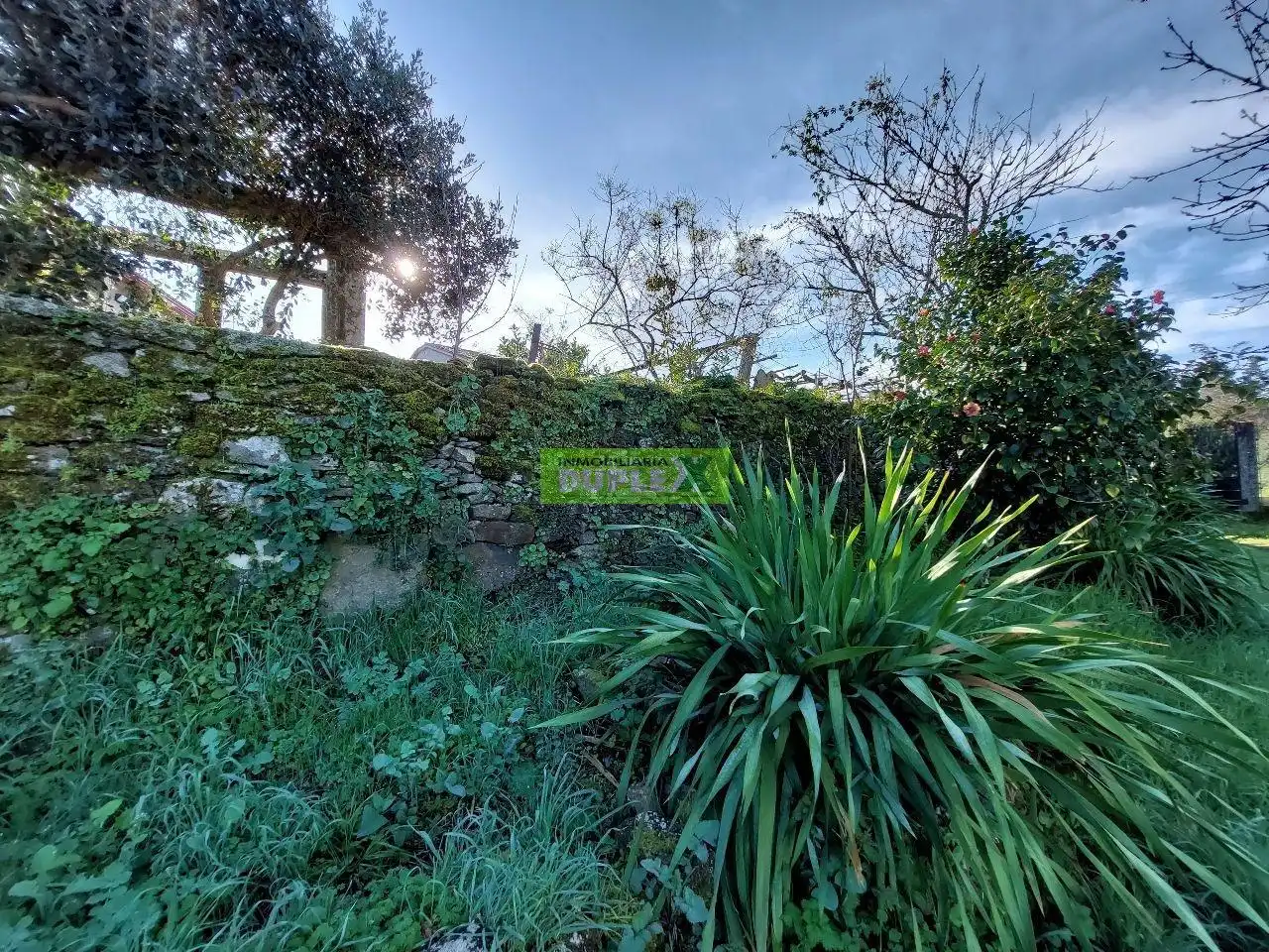 Maison avec jardin à vendre à Zona Fernández Ladreda, imagen 66