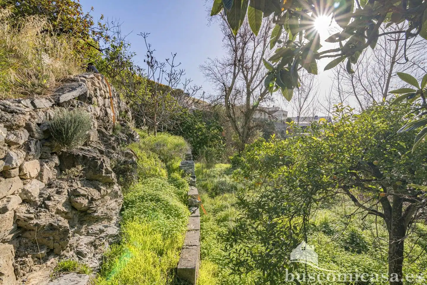 Jardín de Casa o chalet en venta en Molvízar con Jardín privado, Terraza y Trastero