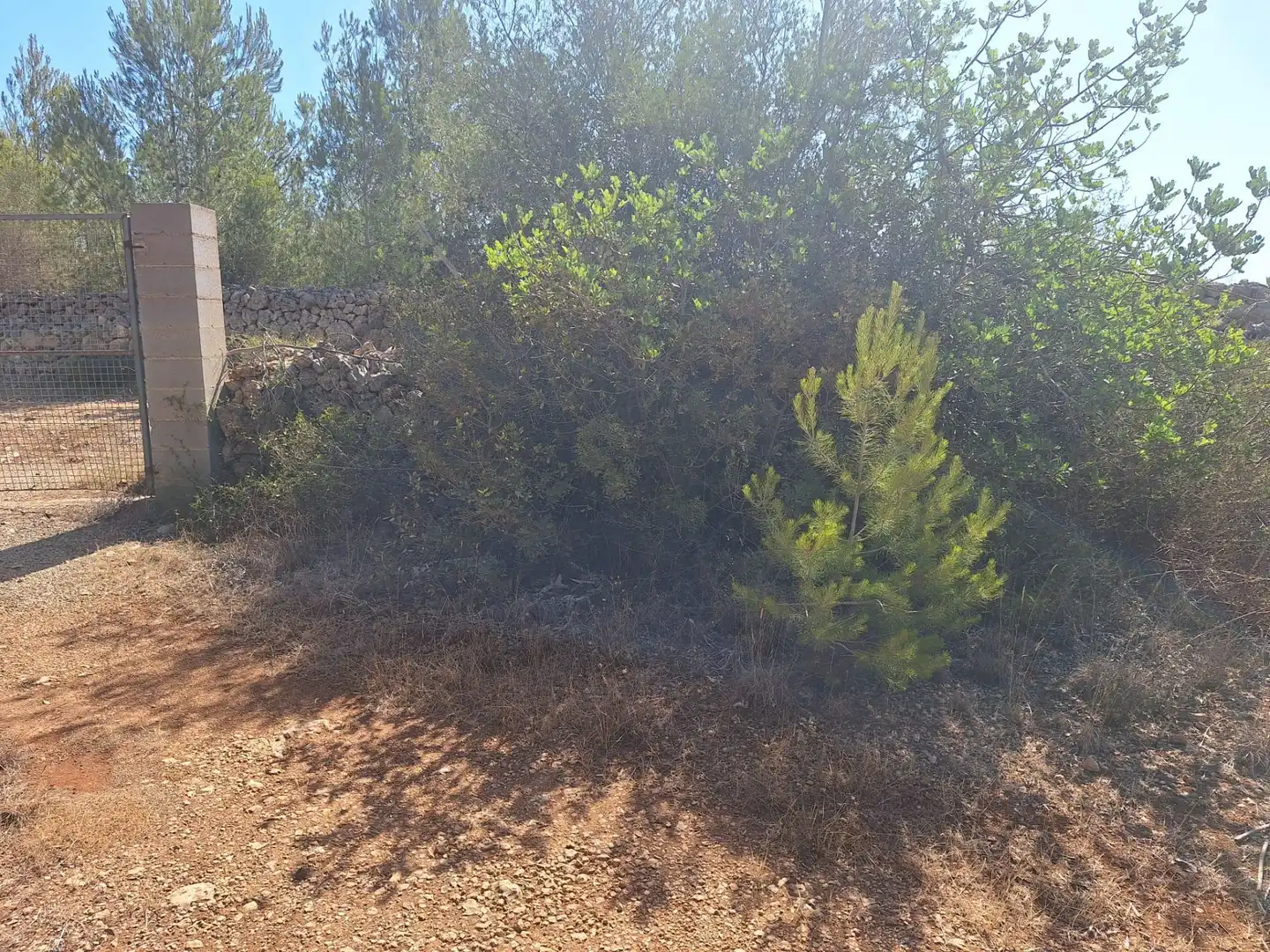 Terreno rustico in vendita a Algaida, imagen 19