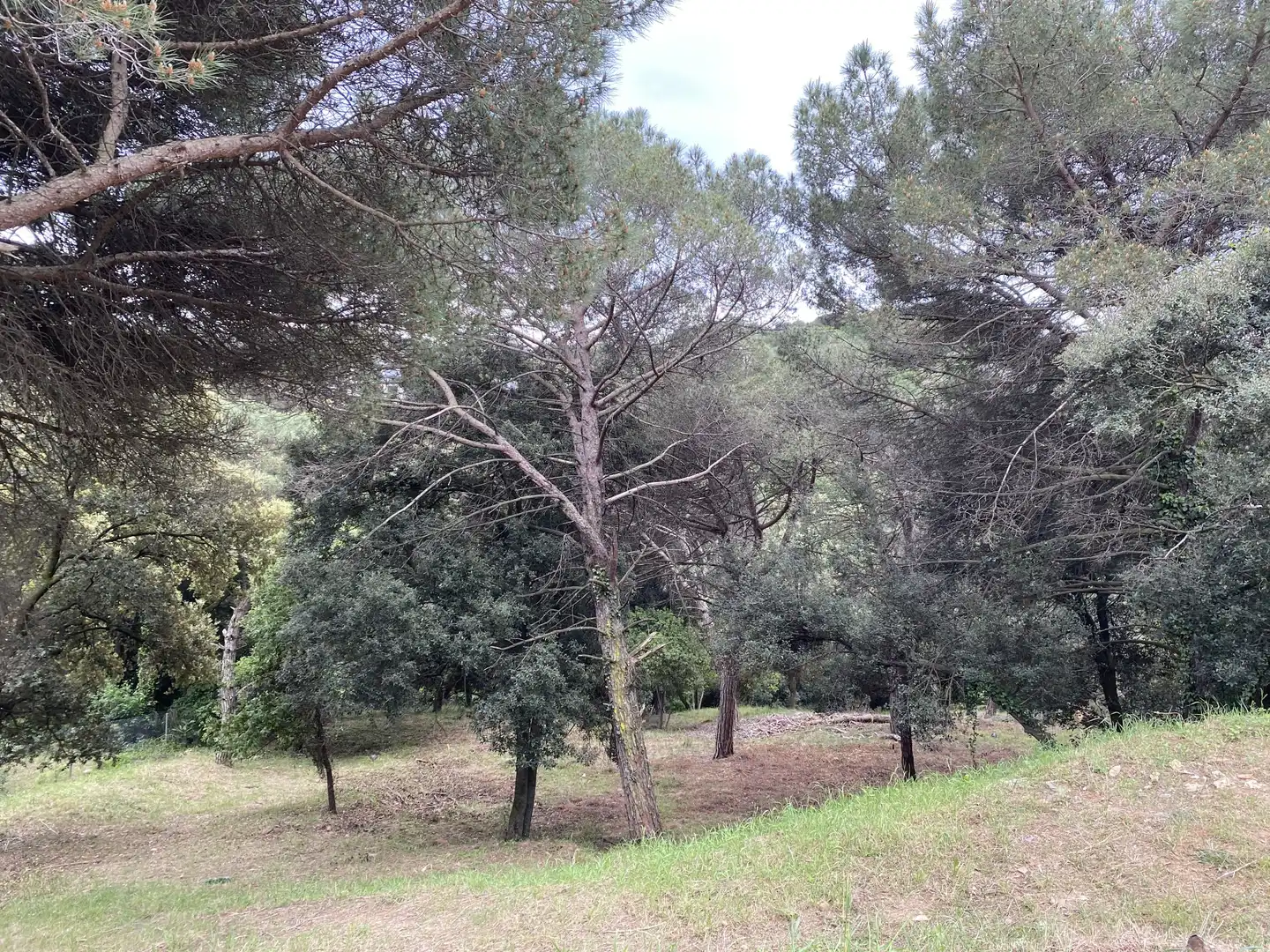 Residencial en venta en Sant Pere de Vilamajor