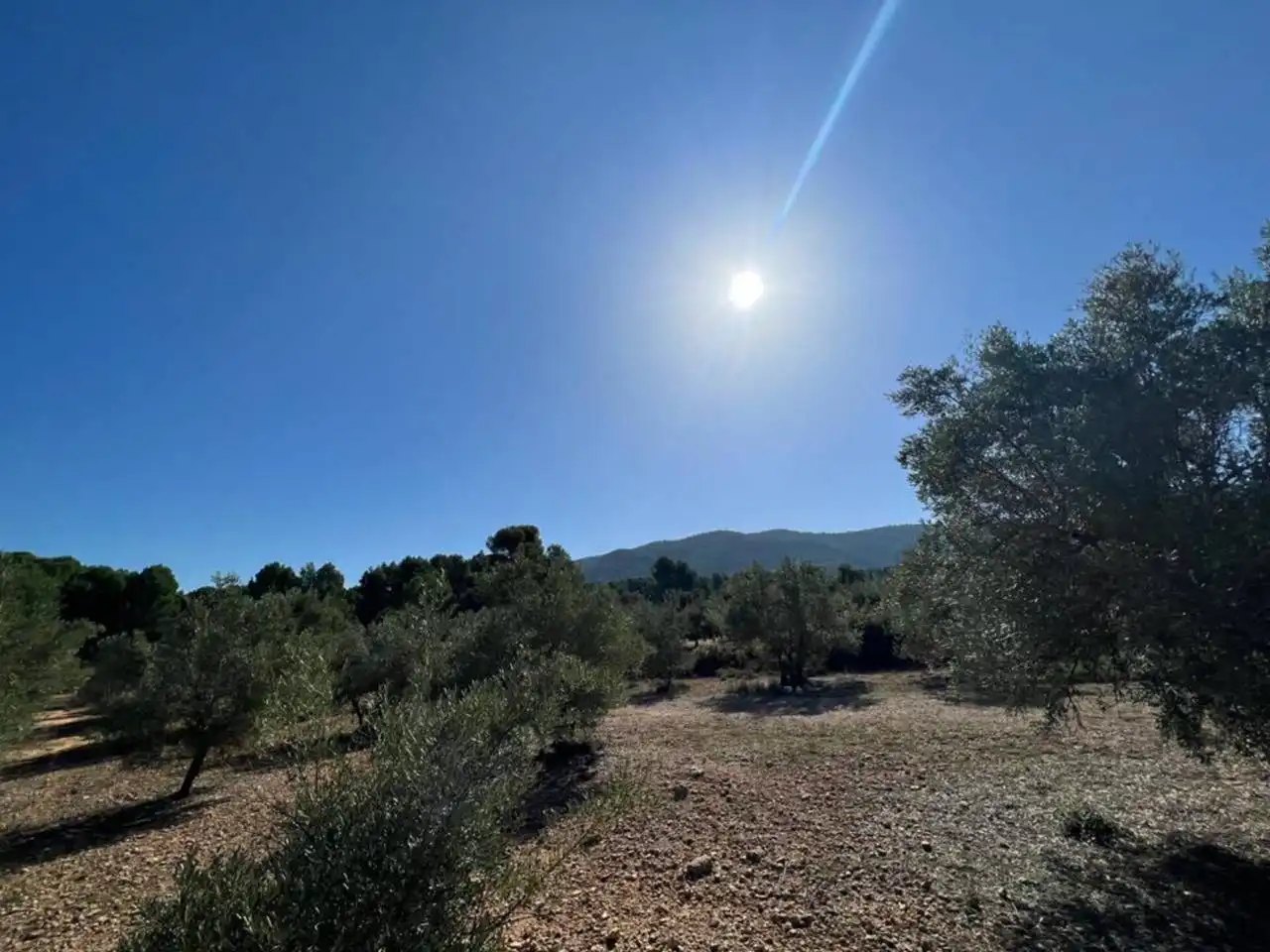 Chalet en venta en Banyeres de Mariola, imagen 14