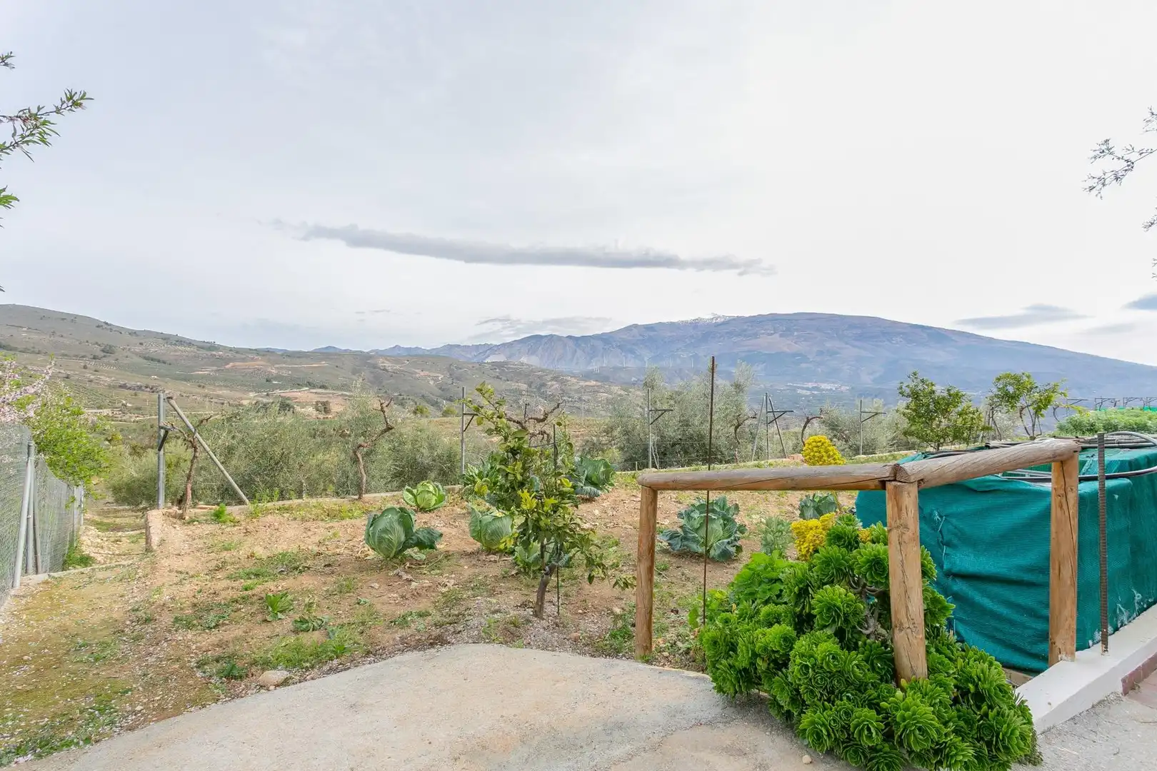 Jardín de Casa o chalet en venta en Albuñuelas con Aire acondicionado, Jardín privado y Terraza