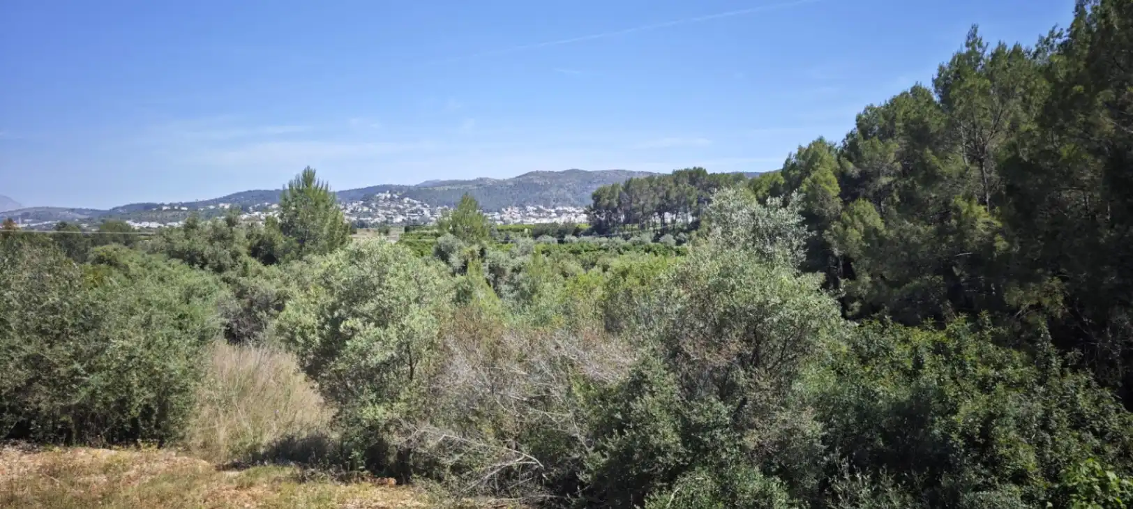 Residential land for sale in Tormos, imagen 29
