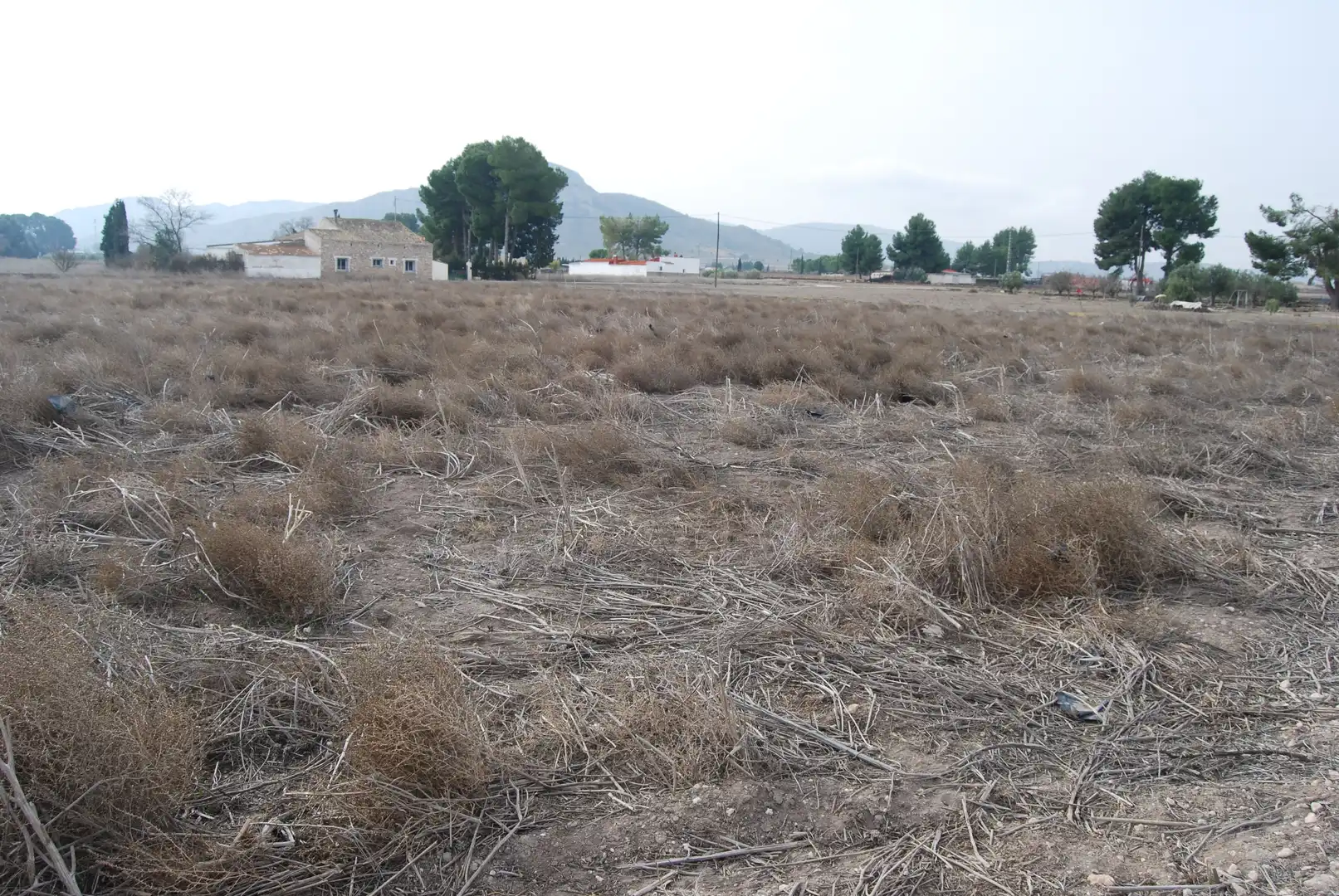Rural land for sale in El Carril - Paseo de Chapi